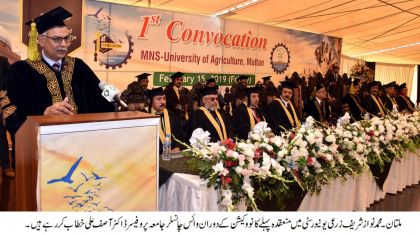 08                        CONVOCATION                 (15-02-2019) 1 (7)