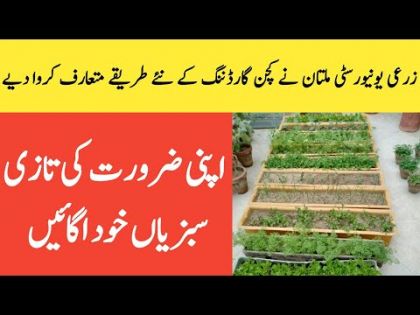 MNS-University of Agriculture Multan Initiatives for Promotion of Kitchen/Rooftop Gardening |