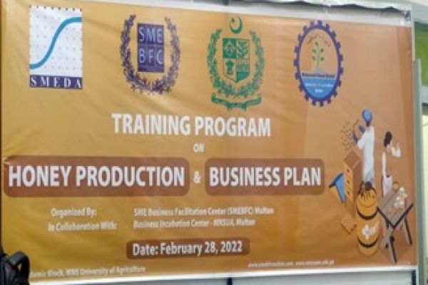 workshop-on-honey-production-and-business-plan-0144143EBE-6E29-6BB2-6FF2-DAFFCB4BB22D.jpg