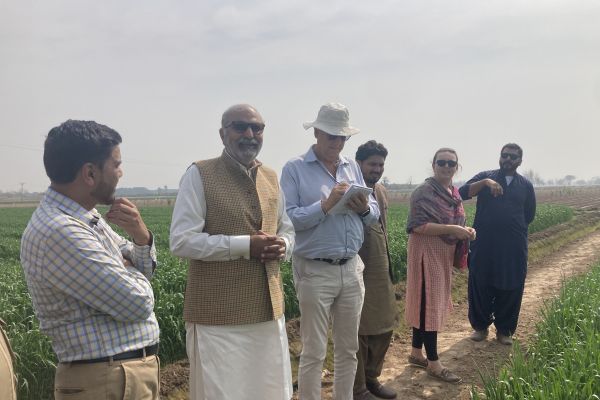 farm-of-ex-minister-of-agriculture-punjab17B54F2C-7093-70AB-EA11-D9BE0E136E1C.jpg