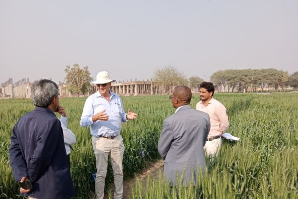 mnsuam-farm-multan2067CD85-985C-BCE5-0165-A5F63C283FF9.jpg