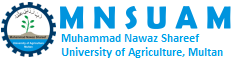 MNS-University of Agriculture Multan 