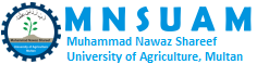 MNS-University of Agriculture Multan